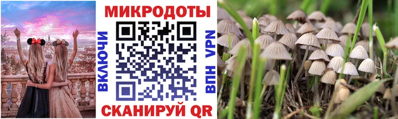 сайты даркнета как зайти  Гай  Галлюциногенные грибы ЛСД 