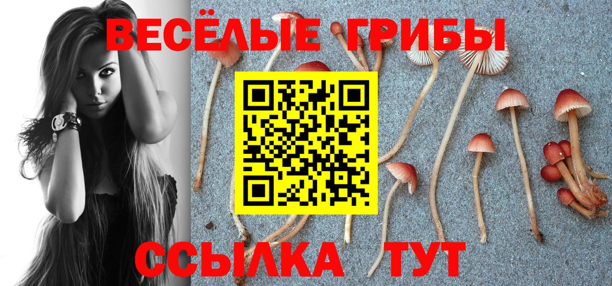 Галлюциногенные грибы Magic Shrooms Гай