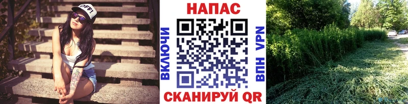 Бошки Шишки SATIVA & INDICA  кракен онион  Гай 